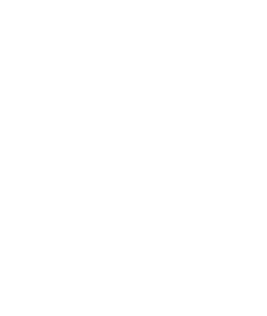 No white flags  New orleans saints, New orleans, Who dat