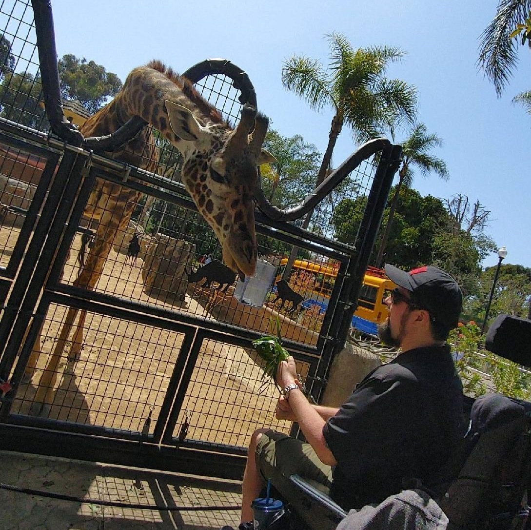 san diego zoo vip tour