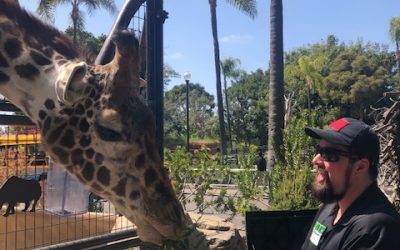 San Diego Zoo: Private Tour