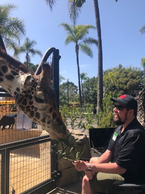 san diego zoo vip tour